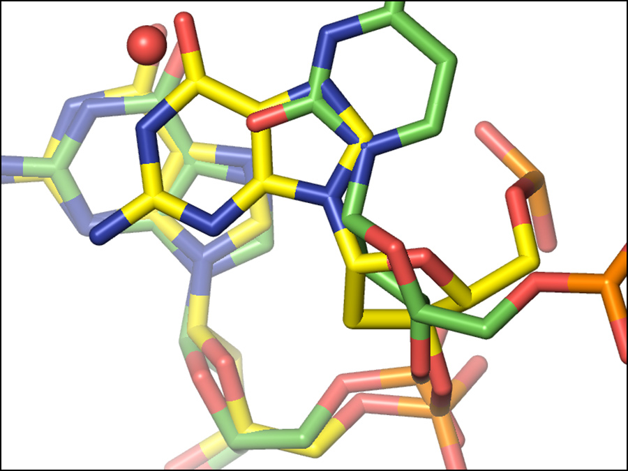 Ph.D. in Biochemistry
